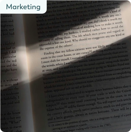 mattilda-marketing-strategies